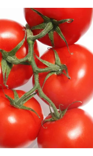 Domates Tohumu Falcon 5 Gr