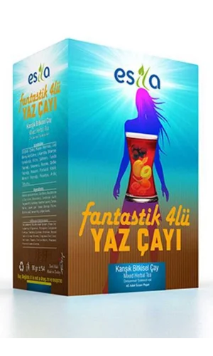 Fantastik 4 Lü Yaz Çayı 45 Li.