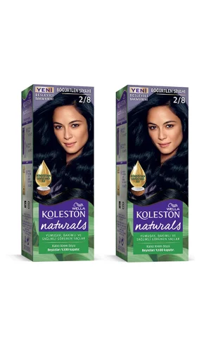 Naturals Saç Boyası Böğürtlen Siyahı 2/8 2x Paket