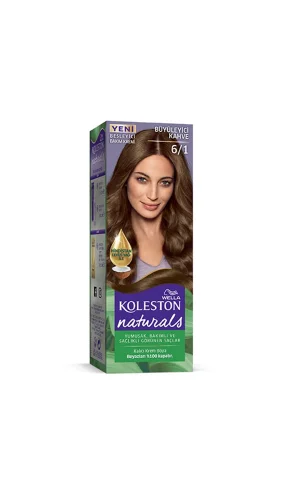 Naturals Saç Boyası Büyüleyici Kahve 6/1