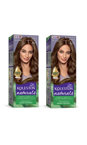 Naturals Saç Boyası Büyüleyici Kahve 6/1 2x Paket