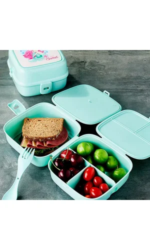 Porky 4 Bölmeli Çatallı Beslenme Kabı - G400