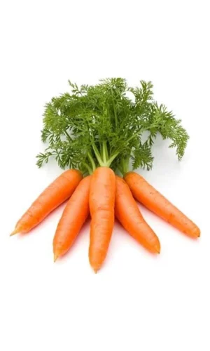 Sarı Havuç Tohumu 10 Gr