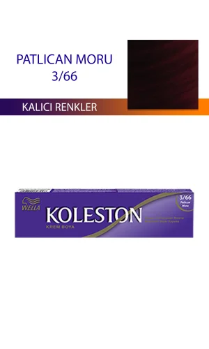 Single Tüp Boya Saç Boyası Patlıcan Moru 3/66