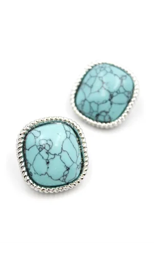 Turkauz Taşlı Küpe - Gümüş