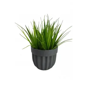 Çizgili Saksı Sazlı Çiçek Royaleks-5782