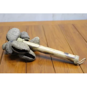 Coconat Sarkaçli Marakas Dıarta:2