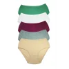 5 Adet Kadın Yüksek Bel Ribana Bato Külot S045