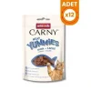 Animonda Carny Meat Tavuk Etli ve Somonlu Yetişkin Kedi Ödül Maması 1 Adet 50 Gr