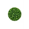 Dökme Cam Kum Boncuk (8/0) 3 mm - 20 Gram - Şeffaf Çimen Yeşili - BNC154
