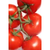 Domates Tohumu Falcon 5 Gr