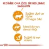 Royal Canin İntense Beauty Jelly Pouch Konserve Kedi Maması 85 Gr