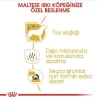 Royal Canin Maltese Terrier Adult Yetişkin Köpek Maması 1.5 Kg