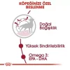 Royal Canin Medium Adult Yetişkin Köpek Maması 15 Kg