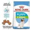 Royal Canin Xsmall Puppy Yavru Köpek Maması 1.5 Kg