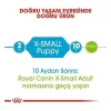 Royal Canin Xsmall Puppy Yavru Köpek Maması 1.5 Kg