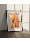 Turuncu Penguen ve Yavru Penguen Tablosu , Hayvan Temalı Poster, Çerçeveli Duvar Tablosu, ANIMALS Koleksiyonu