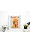 Turuncu Penguen ve Yavru Penguen Tablosu , Hayvan Temalı Poster, Çerçeveli Duvar Tablosu, ANIMALS Koleksiyonu