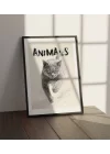 Vahşi Doğa Kedi Tablosu , Hayvan Temalı Poster, Çerçeveli Duvar Tablosu, ANIMALS Koleksiyonu