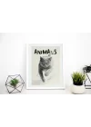 Vahşi Doğa Kedi Tablosu , Hayvan Temalı Poster, Çerçeveli Duvar Tablosu, ANIMALS Koleksiyonu