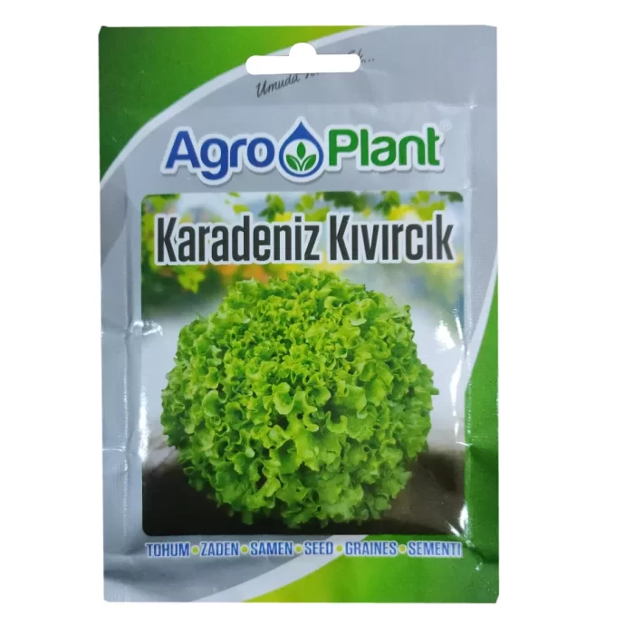 Agroplant Karadeniz Kıvırcık Marul Tohumu 25gr Paket