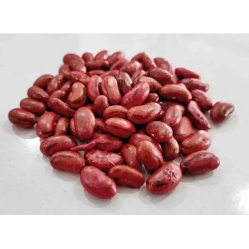 Perolar Beren Çangal Sırık Fasulye 100gr