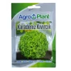 Agroplant Karadeniz Kıvırcık Marul Tohumu 25gr Paket