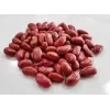 Perolar Beren Çangal Sırık Fasulye 100gr