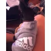 Adidog Köpek Kapşonlu Sweatshirt Elbise Kıyafet