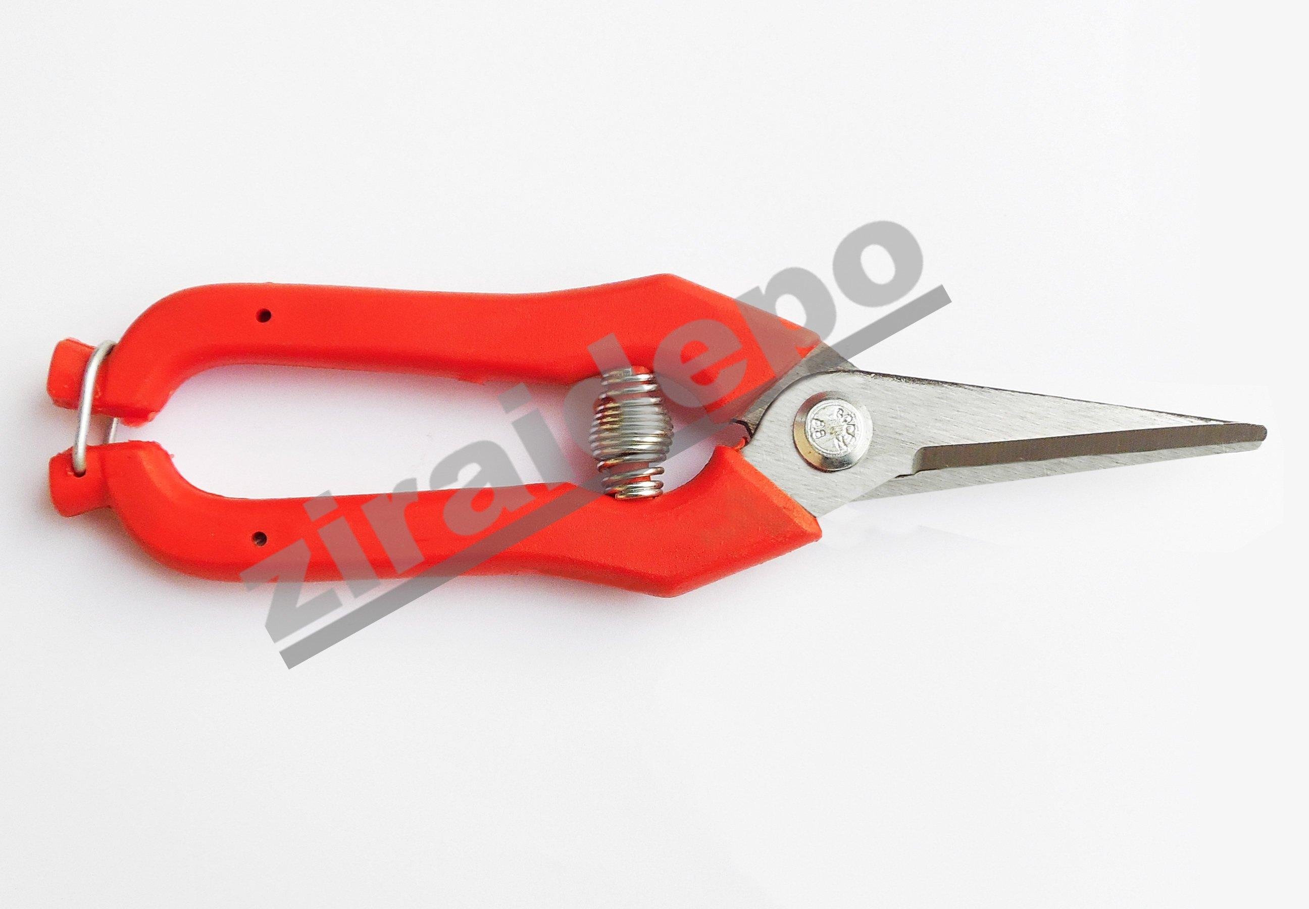 GCN ÜZÜM MAKASI KALIN SAP