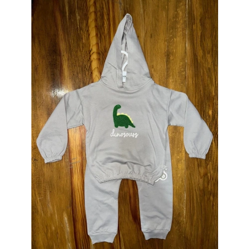 6-24 aylık araba baskılı takım gri