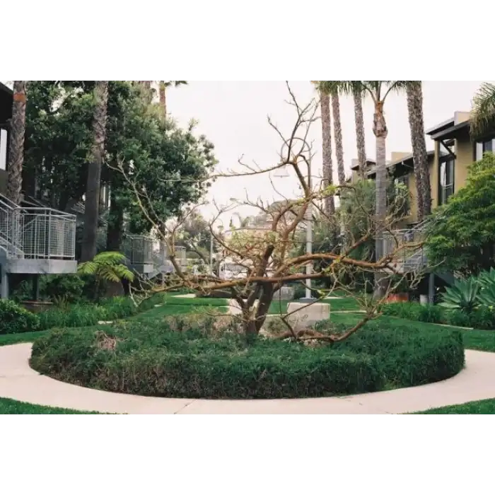 135 Fujifilm 200 Film Formatı Tip 35mm