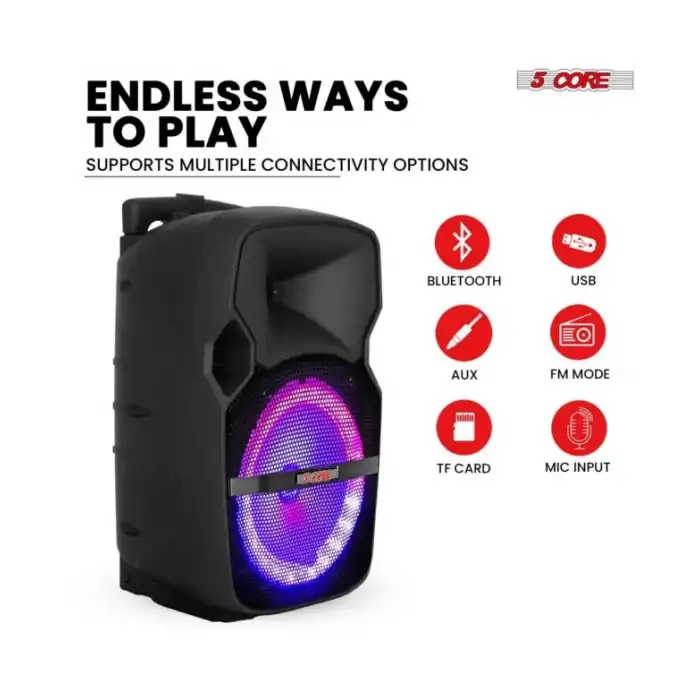 5 Çekirdek 10 İnç TWS Çift Bluetooth Parti Hoparlörü