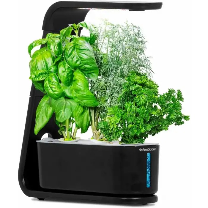 AeroGarden Topraksız Kapalı Bahçe, Filiz ve Gurme Otlar Tohum Kiti - Siyah