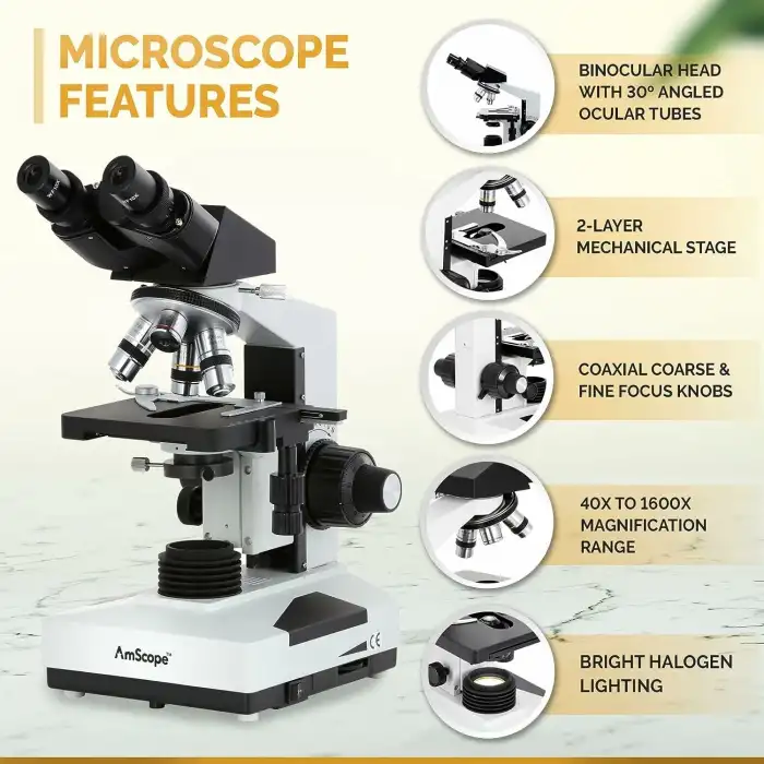 AmScope B490B Bileşik Binoküler Mikroskop