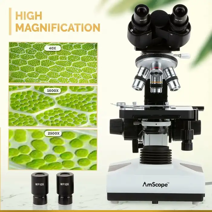 AmScope B490B Bileşik Binoküler Mikroskop