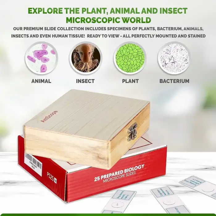 AmScope PS25 Hazır Mikroskop 25 Adet Slayt Seti