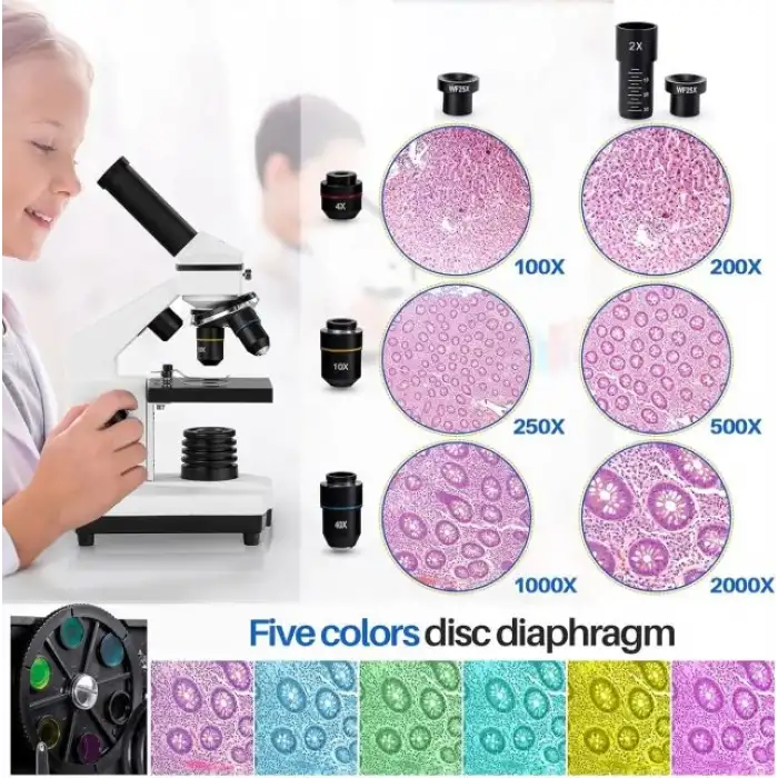 BEBANG Bileşik Mikroskop 100X-2000X Büyütme