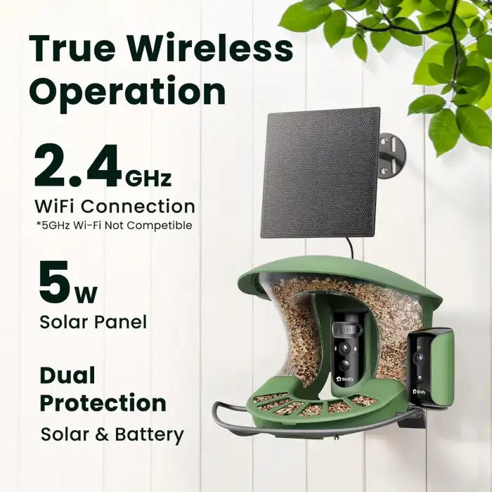 Birdfy 2 Akıllı Kuş Yemliği, Kamera, AI ile Kuş Türlerini Tanımlama 2 Kamera