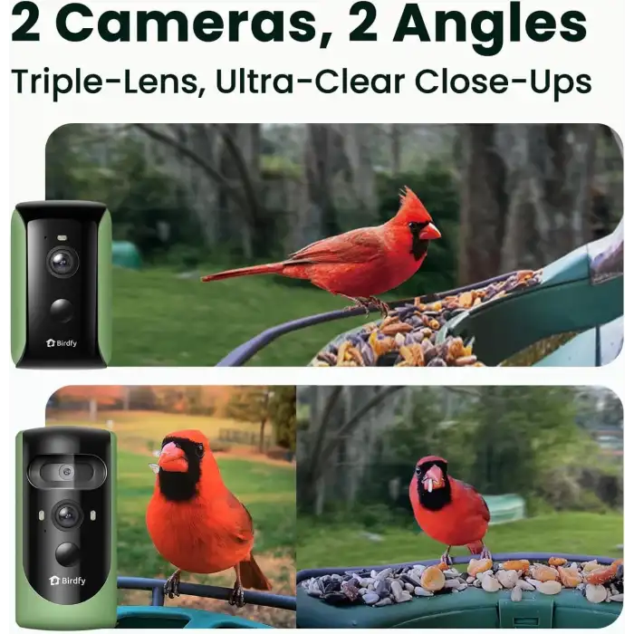 Birdfy 2 Akıllı Kuş Yemliği, Kamera, AI ile Kuş Türlerini Tanımlama 2 Kamera
