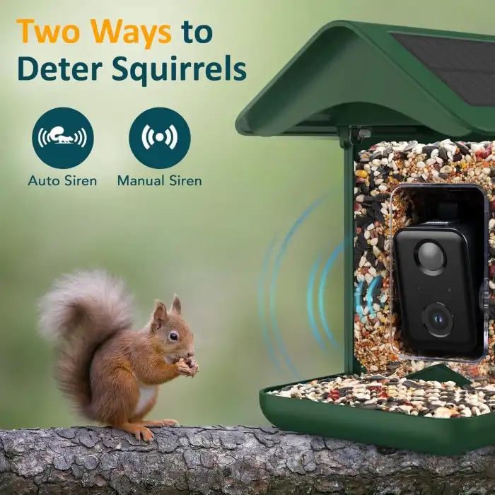 BirdLegend Akıllı Kuş Yemliği Kameralı Güneş Enerjili, 1080P HD - Yeşil