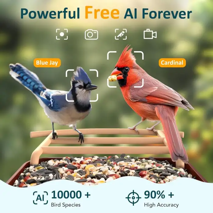 BirdLegend BL01 Kameralı Kuş Yemliği Güneş Enerjili - Kırmızı