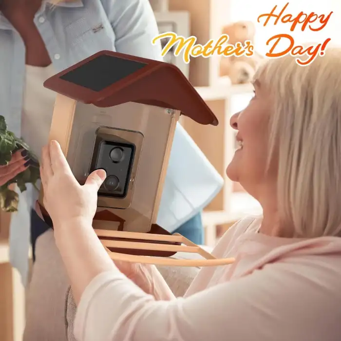 BirdLegend BL01 Kameralı Kuş Yemliği Güneş Enerjili - Kırmızı