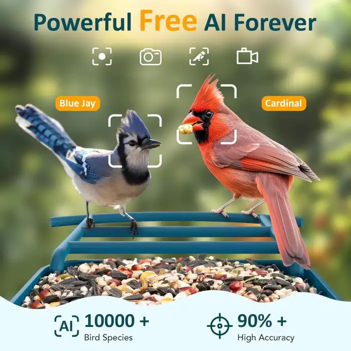 BirdLegend BL01 Kameralı Kuş Yemliği Güneş Enerjili - Mavi