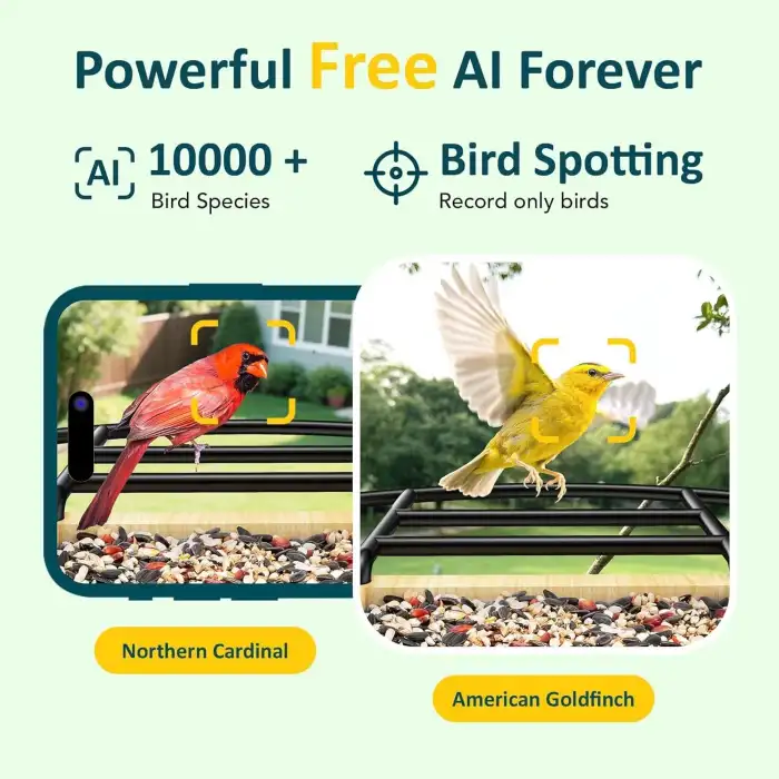 BirdLegend BL02 Akıllı Kuş Yemliği, Kamera, Yapay Zeka, 64 GB Kart, 1080P HD