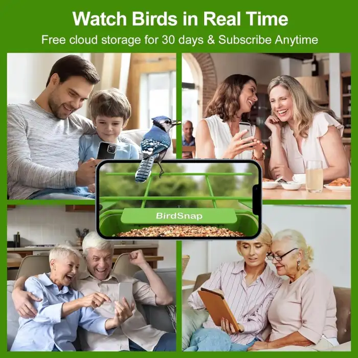 BirdSnap APS - Kameralı Güneş Panelli Metal Kuş Yemliği 2K HD - Sarı/Yeşil