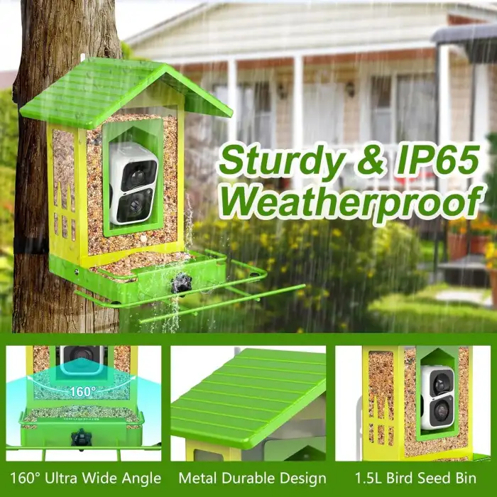 BirdSnap APS - Kameralı Güneş Panelli Metal Kuş Yemliği 2K HD - Sarı/Yeşil