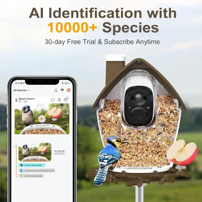 BirdSnap P33 - Güneş Enerjili 2K Video Canlı Kuş Kamerası Yemliği - Kahverengi