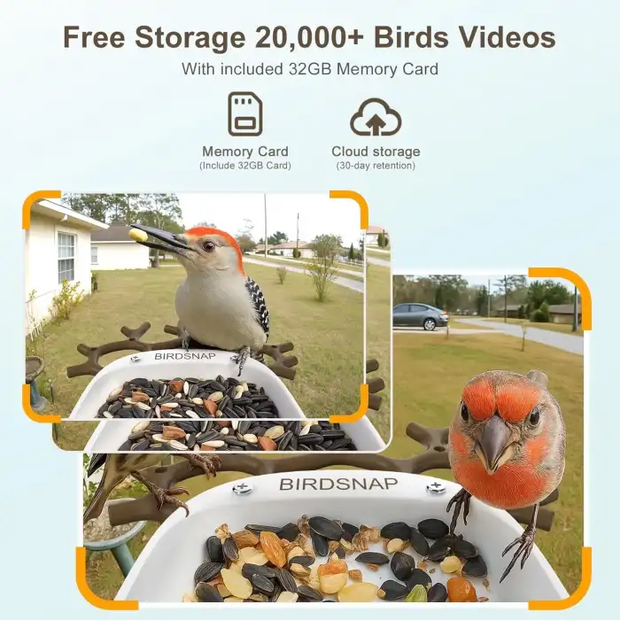 BirdSnap P33 - Güneş Enerjili 2K Video Canlı Kuş Kamerası Yemliği - Kahverengi