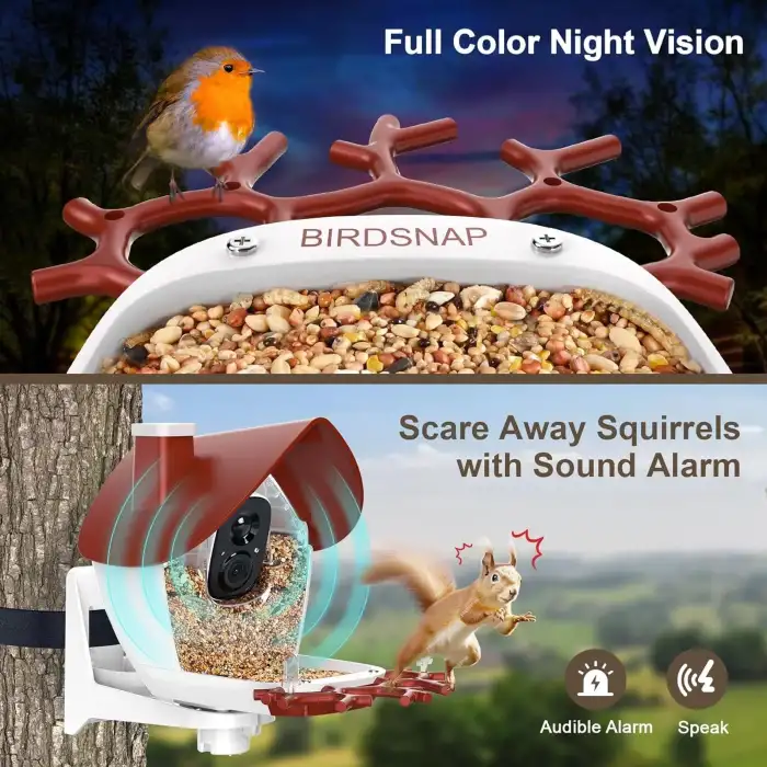 BirdSnap P33 - Güneş Enerjili 2K Video Canlı Kuş Kamerası Yemliği - Kırmızı